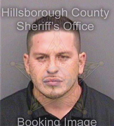 Ramirez David - Hillsborough County, FL 