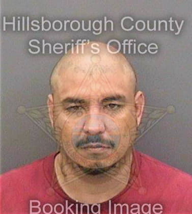 Conde David - Hillsborough County, FL 