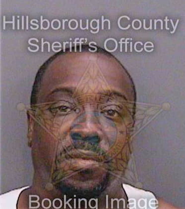 Simmons Michael - Hillsborough County, FL 