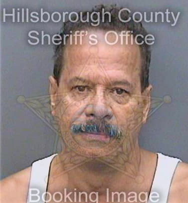 Santiago Angel - Hillsborough County, FL 