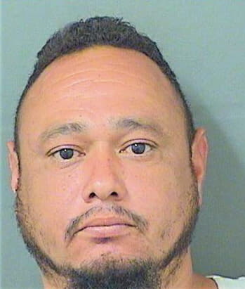 Dejesus Tomas - PalmBeach County, FL 