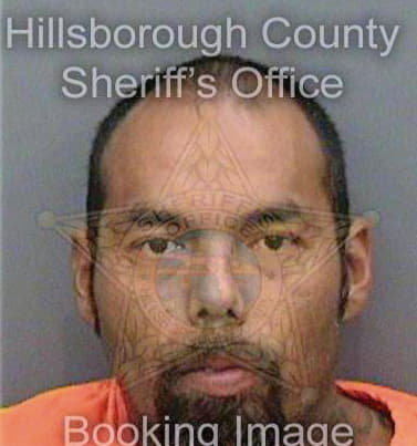 Medina Narciso - Hillsborough County, FL 