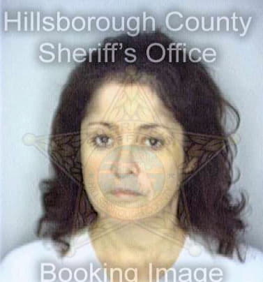 Guevarez Zaymar - Hillsborough County, FL 