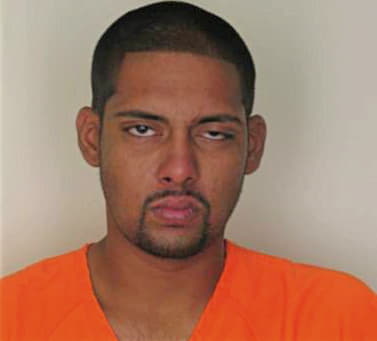 Singh Jesse - Hillsborough County, FL 