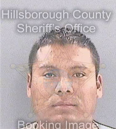 Sandovalmartinez Alfonso - Hillsborough County, FL 