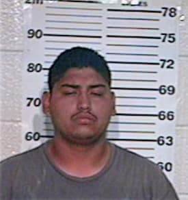 Ramirez Heriberto - Hidalgo County, TX 