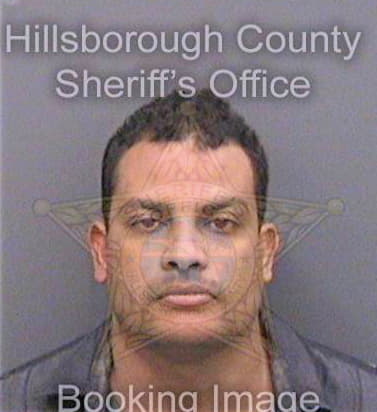 Suarez Luis - Hillsborough County, FL 