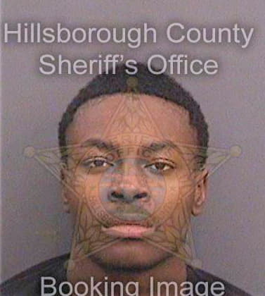 Richardson Darren - Hillsborough County, FL 