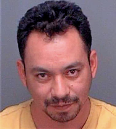 Hernandez Luis - Pinellas County, FL 