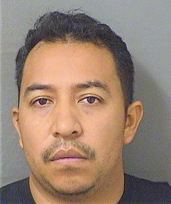 Olmedogarcia Ismael - PalmBeach County, FL 