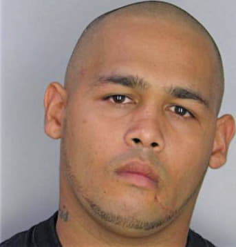 Borrero Alberto - Hillsborough County, FL 