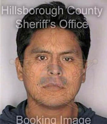 Suni Fredy - Hillsborough County, FL 