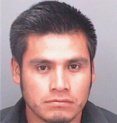 Hernandez Modesto - Pinellas County, FL 