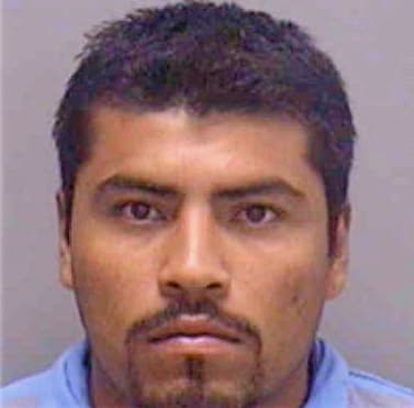 Martinez Vicente - Lee County, FL 