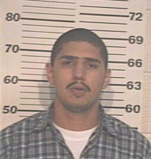 Pulido Alonzo - Hidalgo County, TX 