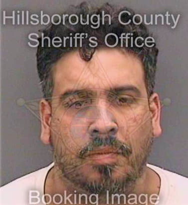 Cruz Franki - Hillsborough County, FL 