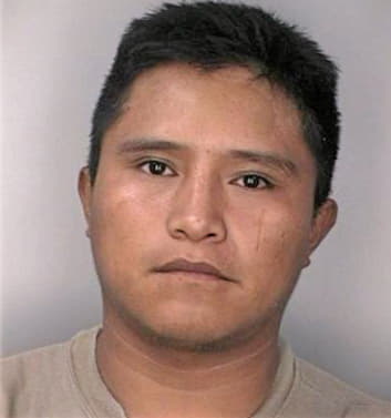 Gonzalezperez Manolo - Hillsborough County, FL 