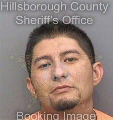 Lumbreras Ernesto - Hillsborough County, FL 