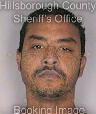 Menendez Shawn - Hillsborough County, FL 