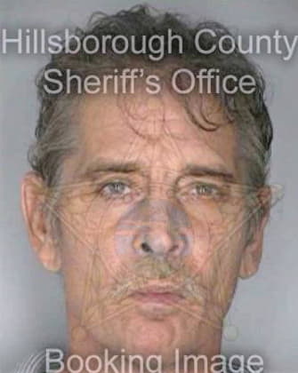 Gorka David - Hillsborough County, FL 