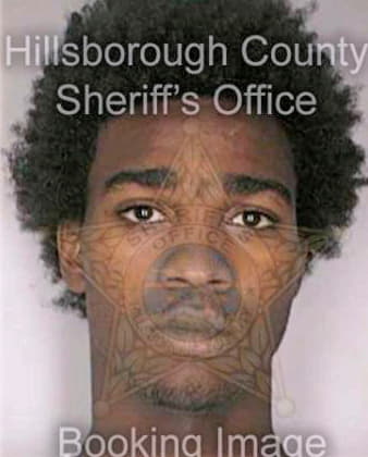 Mickens Matt - Hillsborough County, FL 