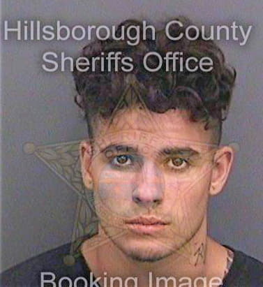 Juarbe Ronald - Hillsborough County, FL 