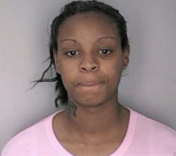 Medina Yajaira - Hillsborough County, FL 
