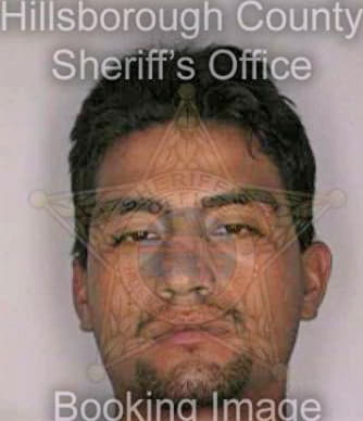 Jimenezsalazar Benjamin - Hillsborough County, FL 