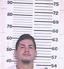 Soto Rene - Hidalgo County, TX 