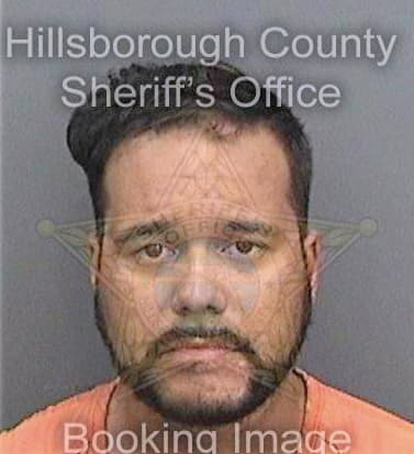 Garcia John - Hillsborough County, FL 