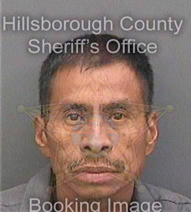 Lazaro-Romero Sebastian - Hillsborough County, FL 