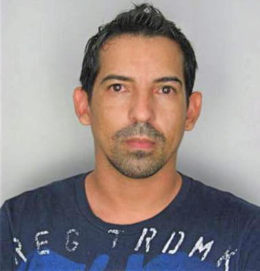 Garcia Damian - Hillsborough County, FL 