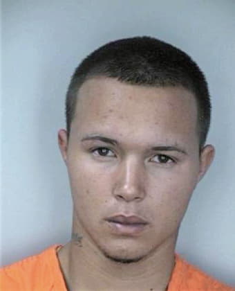 Vazquez Damian - Hillsborough County, FL 