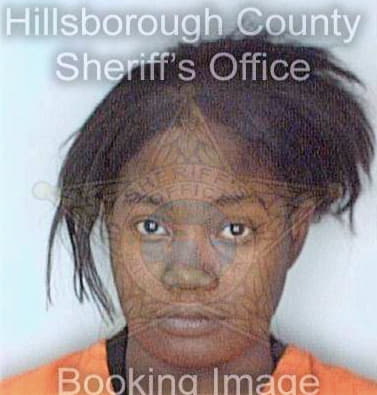 Mcswain Samirian - Hillsborough County, FL 