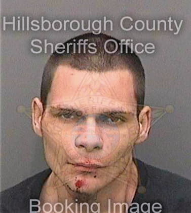 Scott Dylan - Hillsborough County, FL 