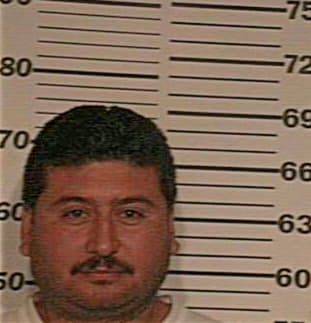 Guzman Hector - Hidalgo County, TX 