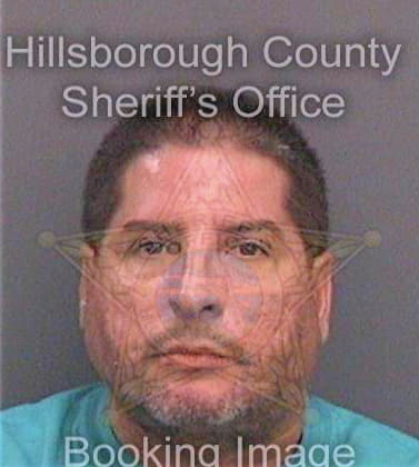 Siam Rudy - Hillsborough County, FL 