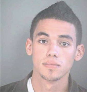 Mejia Jean - Hillsborough County, FL 