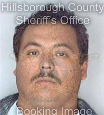 Martinez Jose - Hillsborough County, FL 