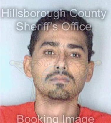 Santiago Eric - Hillsborough County, FL 