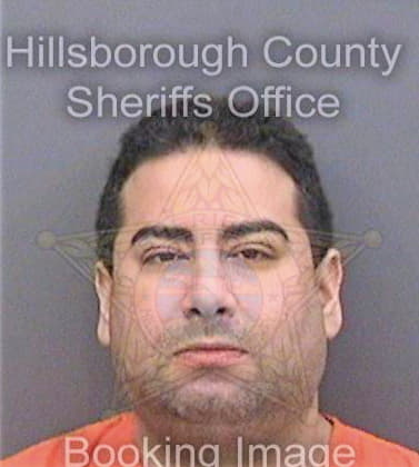 Mendoza Hector - Hillsborough County, FL 