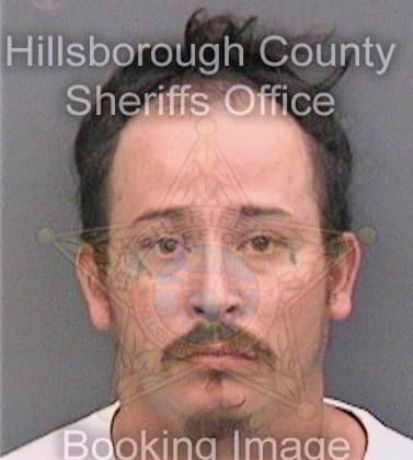 Lobatto Michael - Hillsborough County, FL 