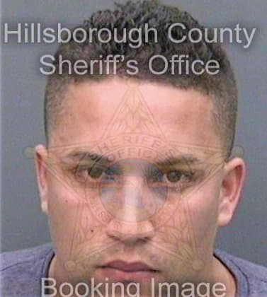 Lopez Haldo - Hillsborough County, FL 