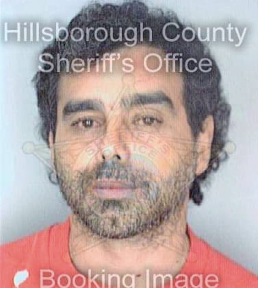 Gonzalez Josue - Hillsborough County, FL 