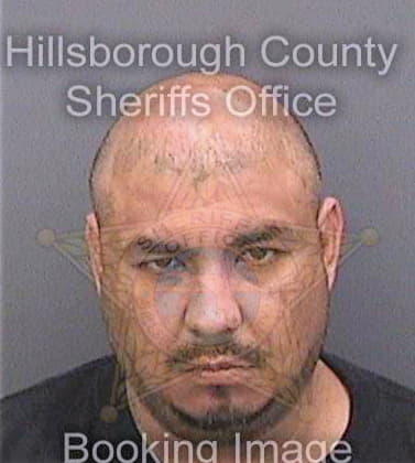 Conde David - Hillsborough County, FL 