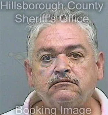 Gonzalezortiz Ramon - Hillsborough County, FL 