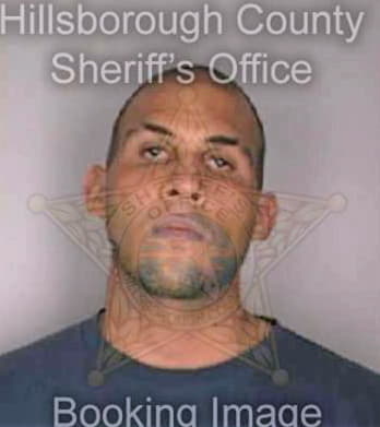 Borras Oscar - Hillsborough County, FL 