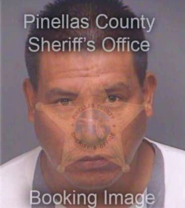 Colingonzalez Constantino - Pinellas County, FL 