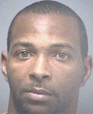 Blumer Shawn - Hillsborough County, FL 