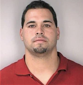 Ramirez Michael - Hillsborough County, FL 